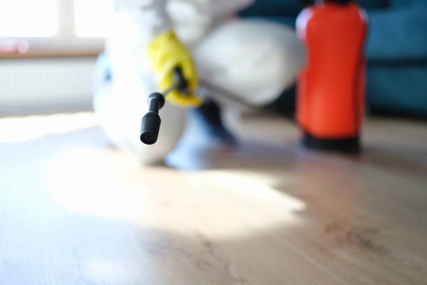 Best Residential Mold Inspection & Testing  in Moorefield, WV