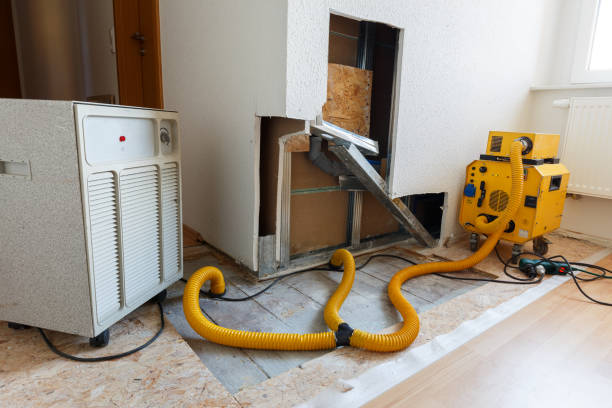 Best Dehumidification Services  in Moorefield, WV