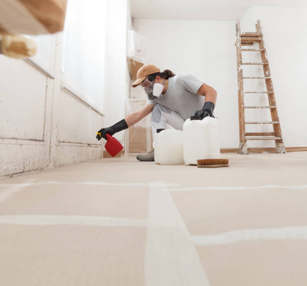 Best Mold Remediation for Healthcare Facilities  in Moorefield, WV