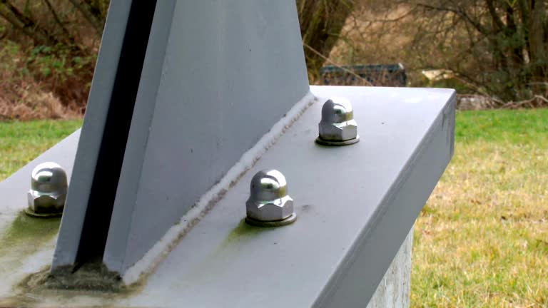 Best Airborne Mold Testing  in Moorefield, WV